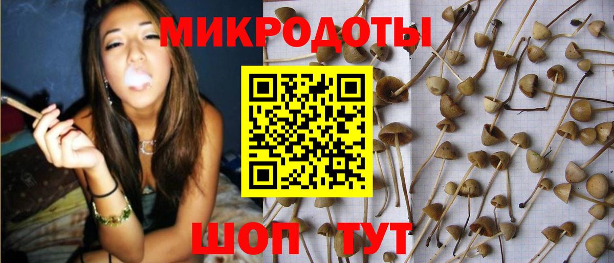 Братск  Псилоцибиновые грибы мухоморы  Вход с VPN 